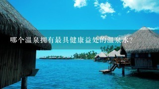 哪个温泉拥有最具健康益处的温泉水?