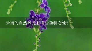 云南的自然风光有哪些独特之处?