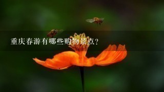 重庆春游有哪些购物景点?