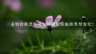 三亚特价机票价格如何随航班航班类型变化?