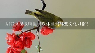 以武义温泉哪里可以体验到哪些文化习俗?