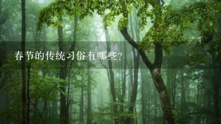 春节的传统习俗有哪些?