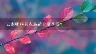 云南哪些景点最适合夏季游?