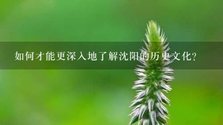 如何才能更深入地了解沈阳的历史文化?