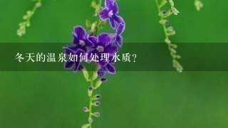 冬天的温泉如何处理水质?