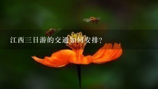 江西三日游的交通如何安排?