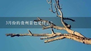 3月份的贵州景色是什么?